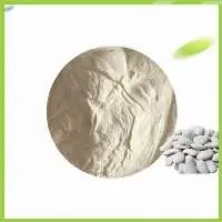 White Kidney Bean Extract