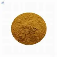 Hamamelis Extract