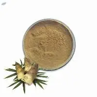 Asparagus Extract
