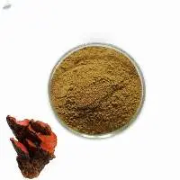 Antrodia Camphorata Extract