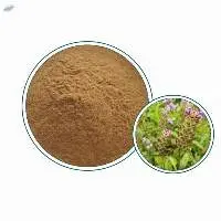 Prunella Vulgaris Extract
