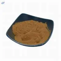 Ginkgo Biloba Extract