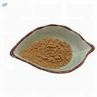 Wintergreen Extract