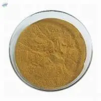 Olive Leaf Extract