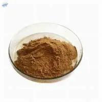 Dandelion Extract