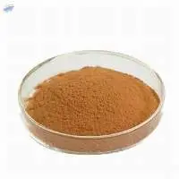 Andrographis Paniculata Extract