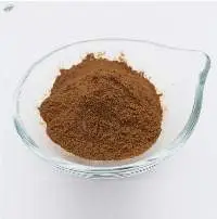Agaricus Mushroom Extract