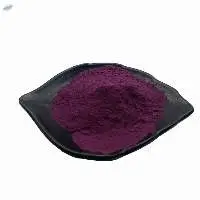 Mulberry Extract