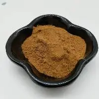 Chicory Extract