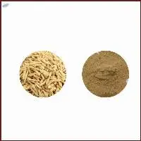 Radix Ophiopogonis Extract