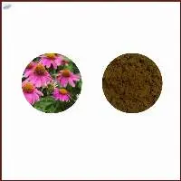 Echinacea Extract