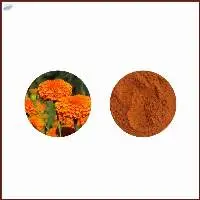Marigold Extract