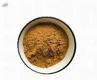 Flos Hibisci Mutabilis Extract