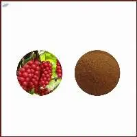 Schisandra Chinensis Extract