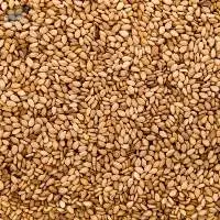 Sesame Seeds