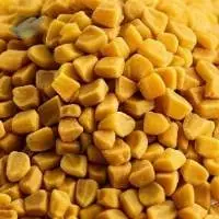 Fenugreek seeds