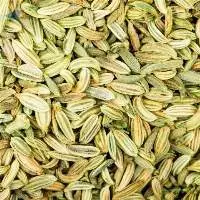 Fennel Seeds