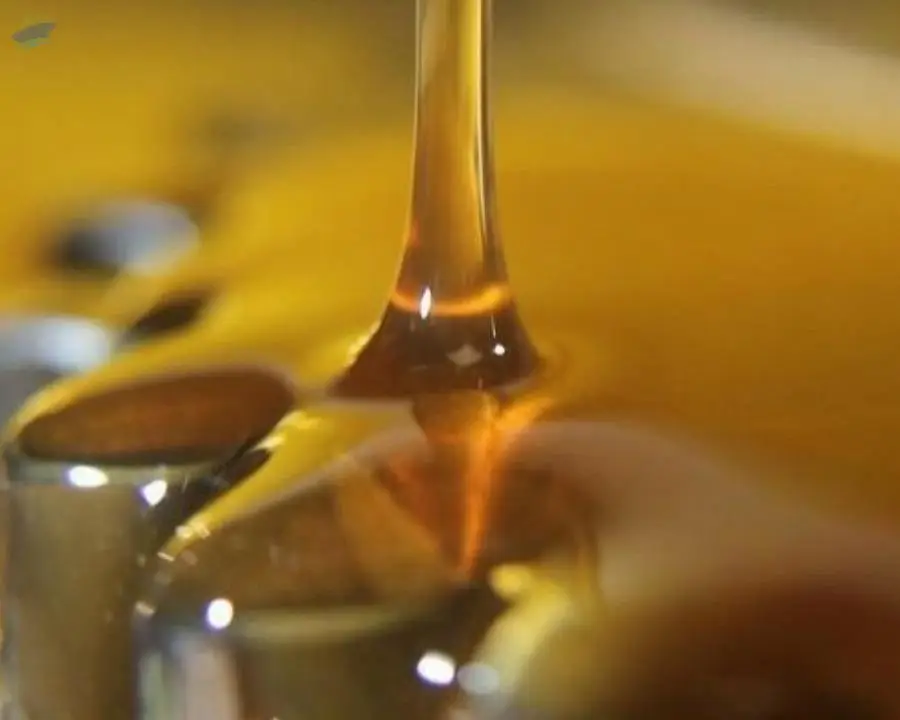 Short Oil Alkyds
