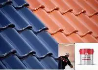 Roof Coating