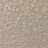 Texture Paint-sable-wall Master Rough & Tough