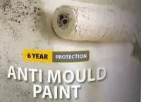 Ritver Anti Mould Protection