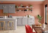 Ritver Special Paint For Kitchens