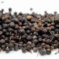 Cubeb Pepper