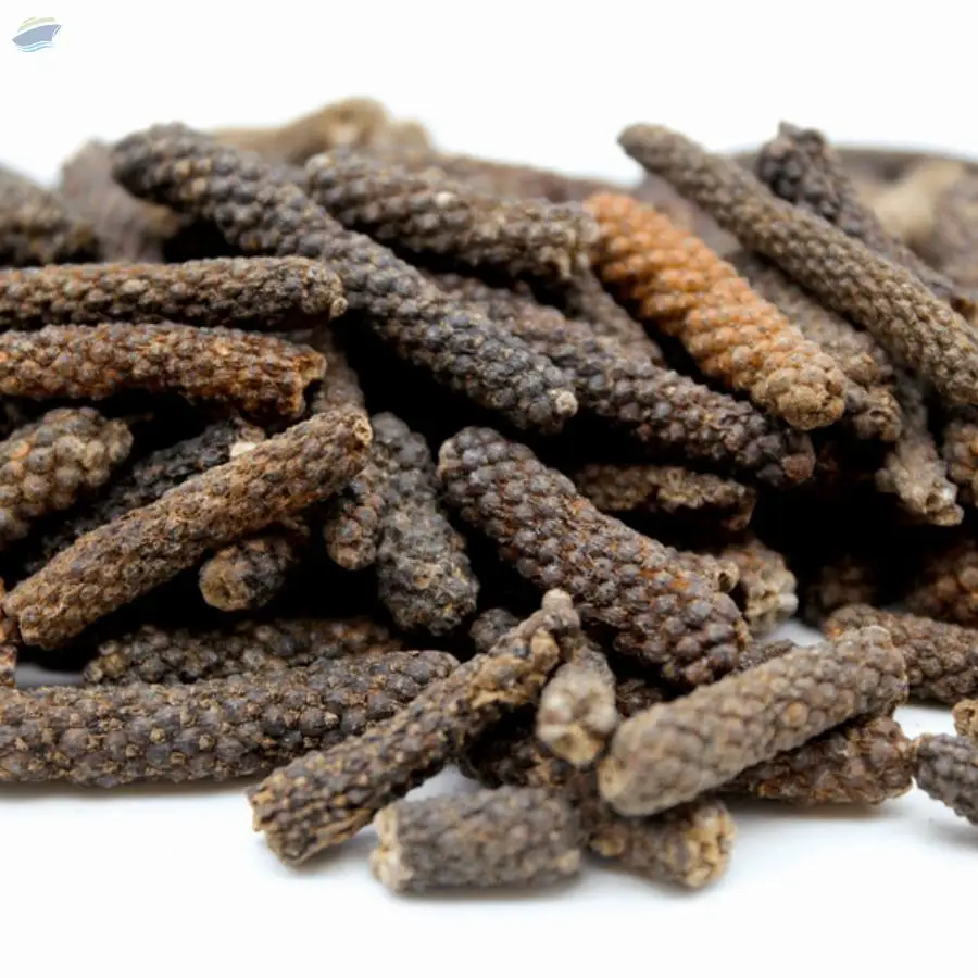 Long Pepper