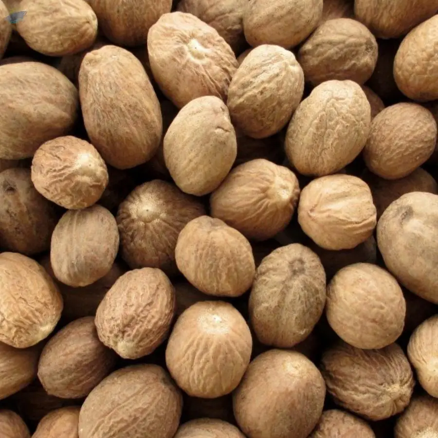 Nutmeg