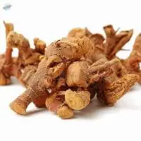 Dried Galangal