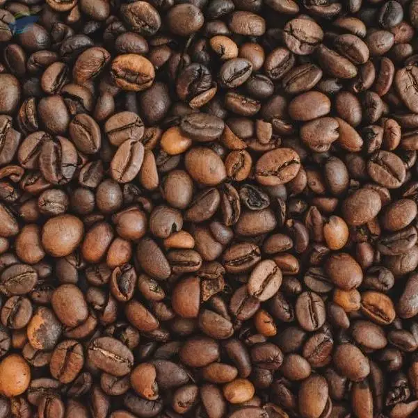 Arabica Coffee Bean