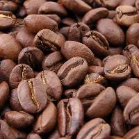 Robusta Coffee Bean