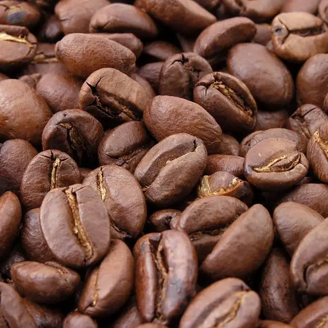 Robusta Coffee Bean