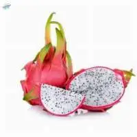 Dragon Fruit