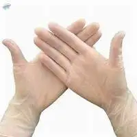 Vinyl Gloves