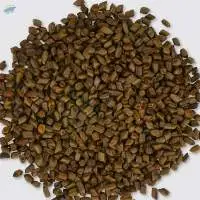 Cassia Seeds (or Semen Cassiae)