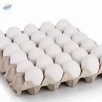 Fresh White Eggs