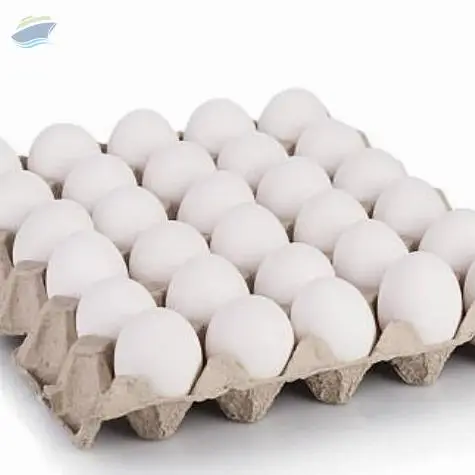 Fresh White Eggs