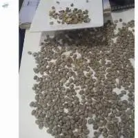 Green Coffee Beans
