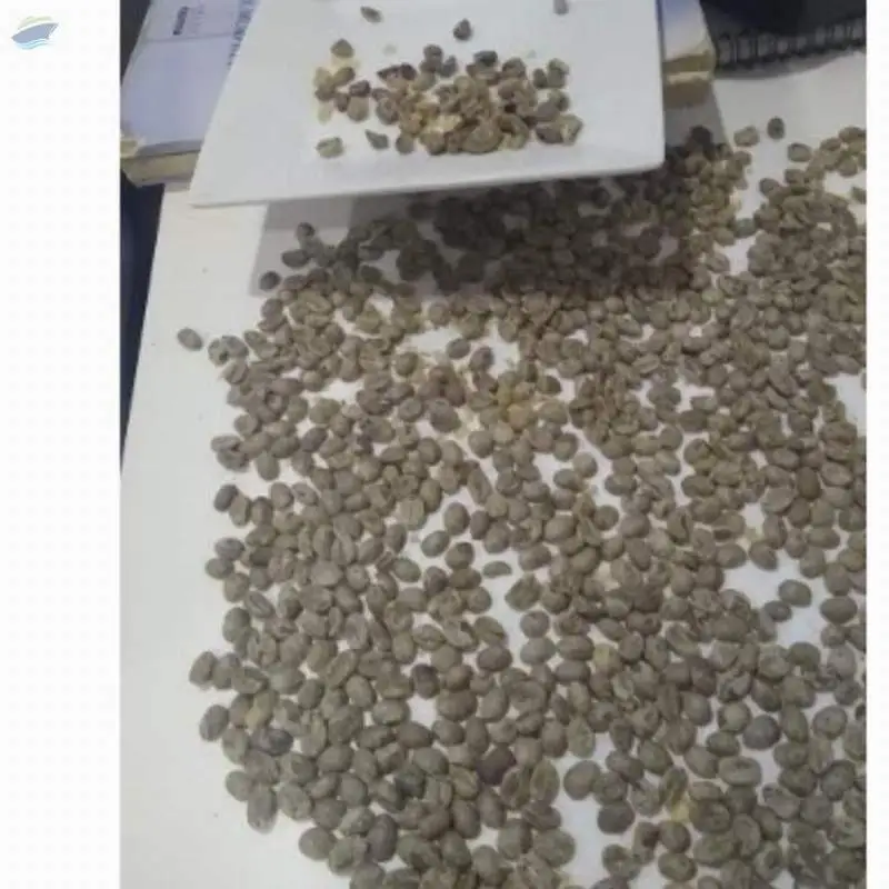 Green Coffee Beans