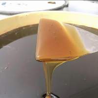 Eucalyptus Honey