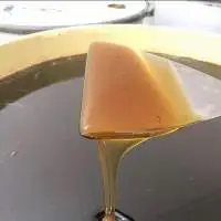 Eucalyptus Honey