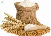 Wheat Flour
