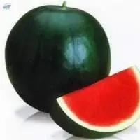 Fresh Watermelon