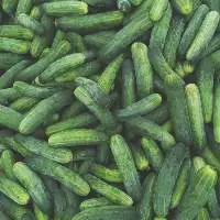 Fresh Cucumber