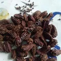 Big Or Black Cardamom