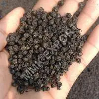 Black Pepper Seeds Dark Black & Big