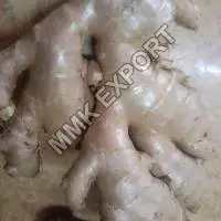Dried Ginger