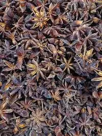Star Anise