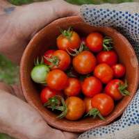 Agriculture & Foods